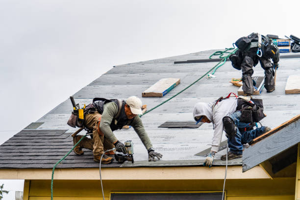 Professional Storm Damage Roof Repair technician working in Fe Warren Afb, WY